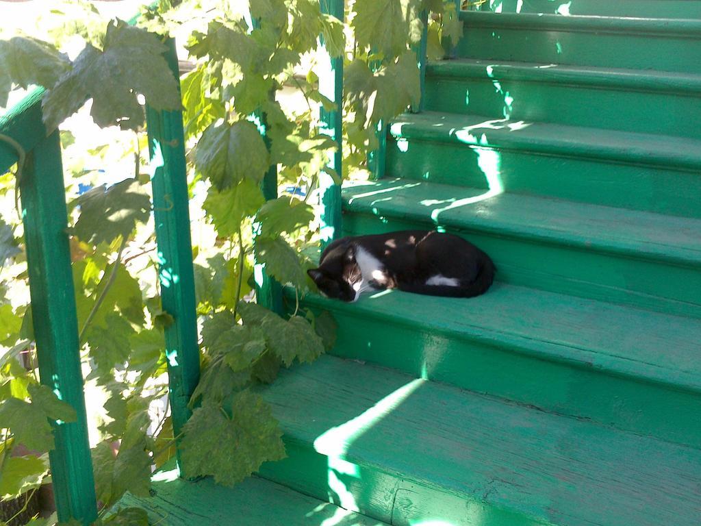 Green Stairs Guest House Тбилиси Екстериор снимка