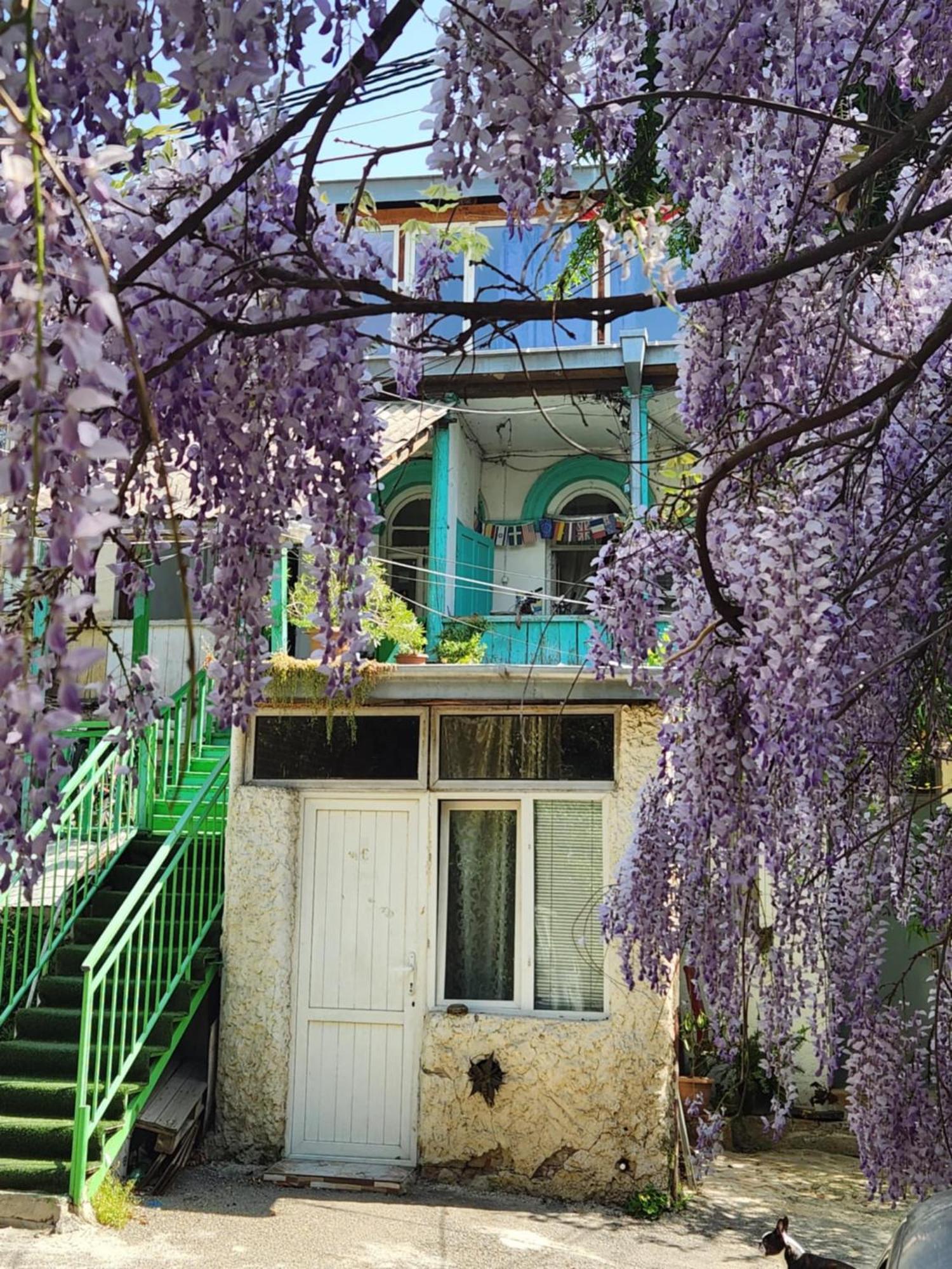 Green Stairs Guest House Тбилиси Екстериор снимка