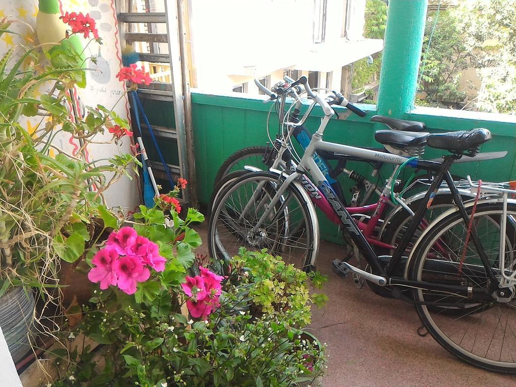 Green Stairs Guest House Тбилиси Екстериор снимка