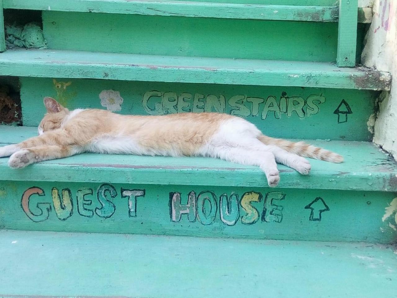 Green Stairs Guest House Тбилиси Екстериор снимка